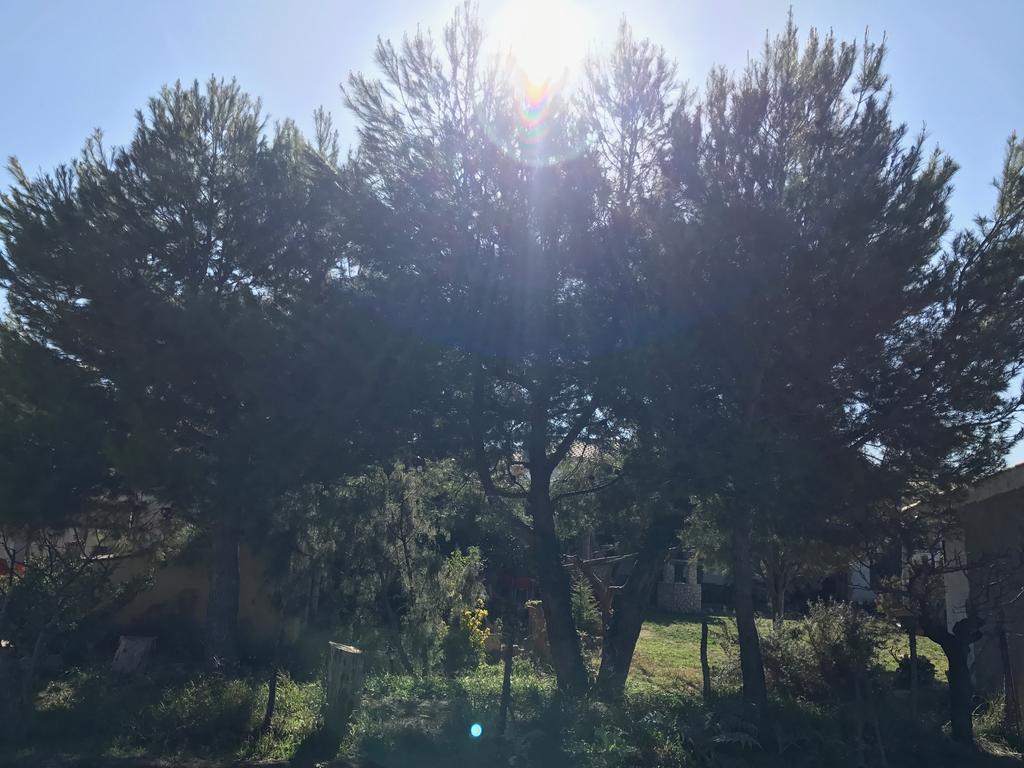 Casa Rural La Granja Letur Buitenkant foto